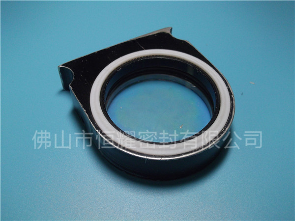 HVF、HVG端面內、外向泛塞封 (2)