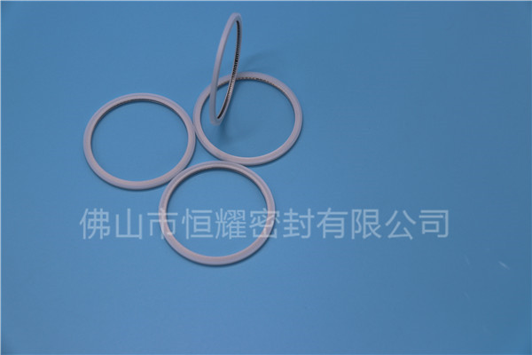 HVF、HVG端面內(nèi)、外向泛塞封 (20)