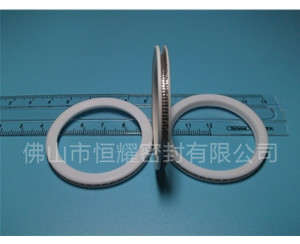 HVF、HVG端面內、外向泛塞封 (10)