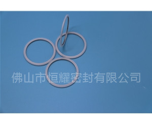 HVF、HVG端面內、外向泛塞封 (20)