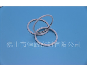 HVF、HVG端面內、外向泛塞封 (21)